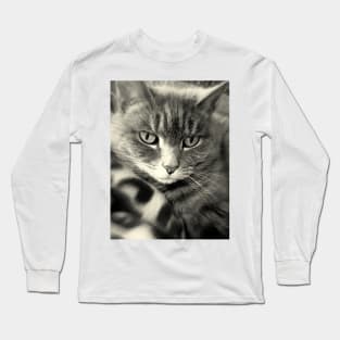 Kitteh Gets Her Daydream On Long Sleeve T-Shirt